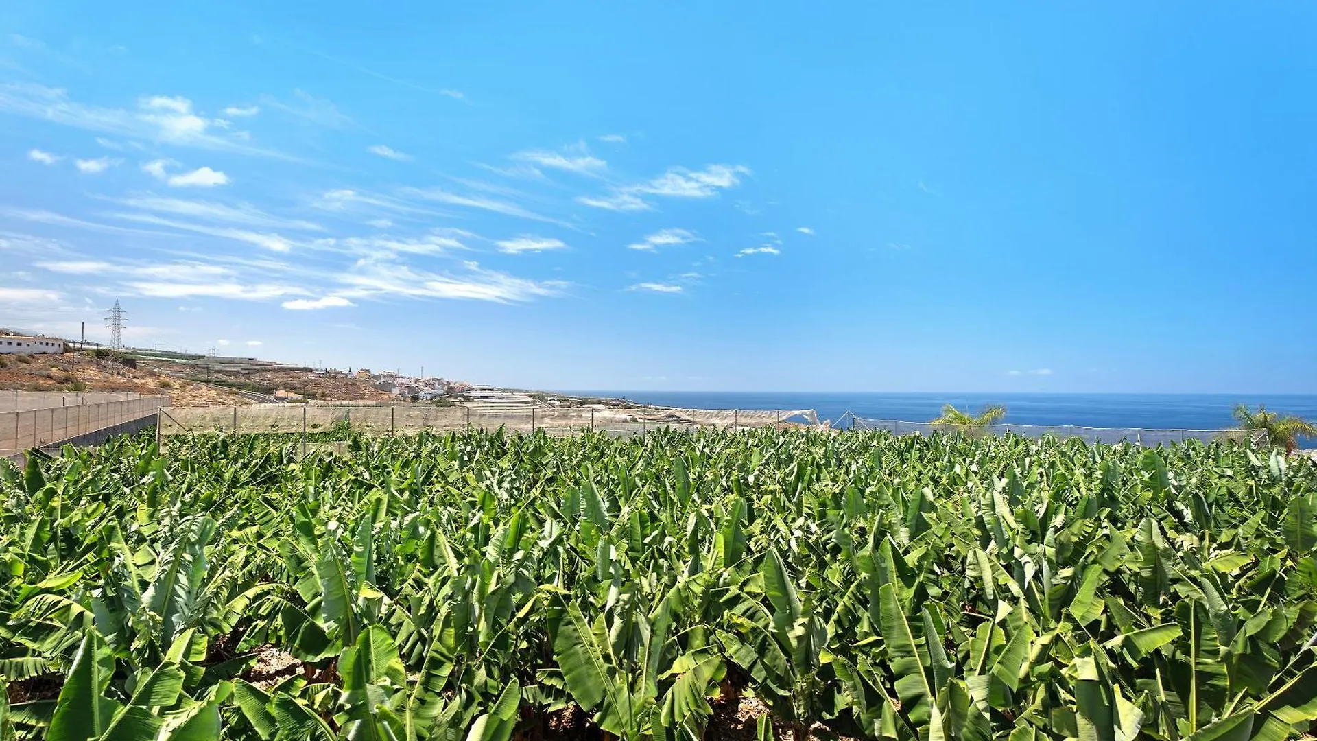 La Calabacera Casa Verde Con Piscina, By Paramount Holidays Guia de Isora  Spain